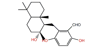 Siphonodictyal A